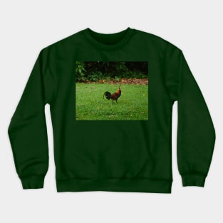 Red Jungle Fowl Amidst Lush Greenery Crewneck Sweatshirt